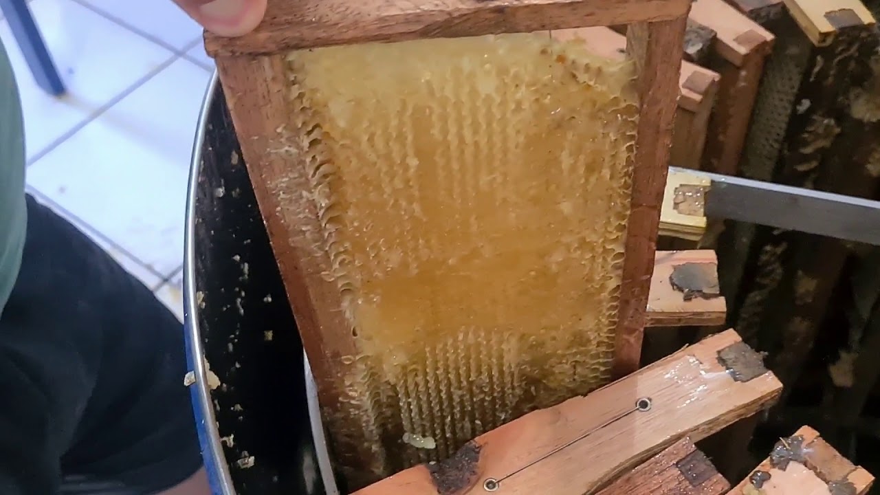 Centrifugação do MEL | Recanto do Manfé