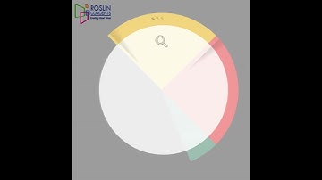 🎯 Understanding the Customer