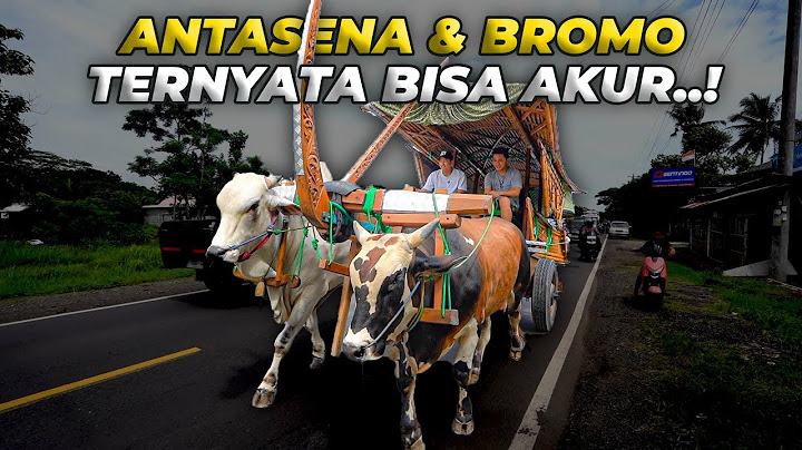 TOURING THE VILLAGE ON AN OX CART WITH ANTASENA AND BROMO..!