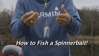 Great ways to Fish a Spinnerbait!