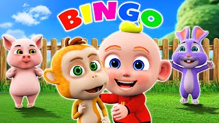 Bingo Song 🐶🎁 | + More Kid Songs 🍭 | NEW Best Funny Nursery Rhymes for Babies
