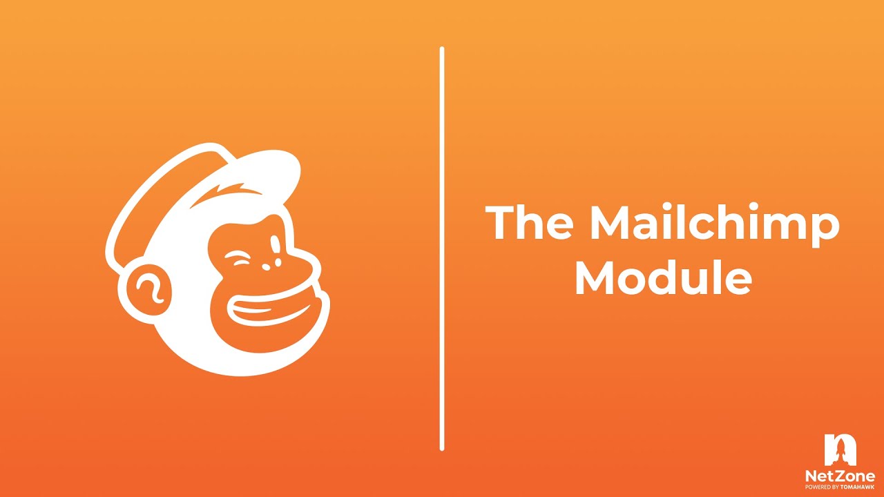 NetZone CMS 101: Adding Mailchimp to your Website - YouTube