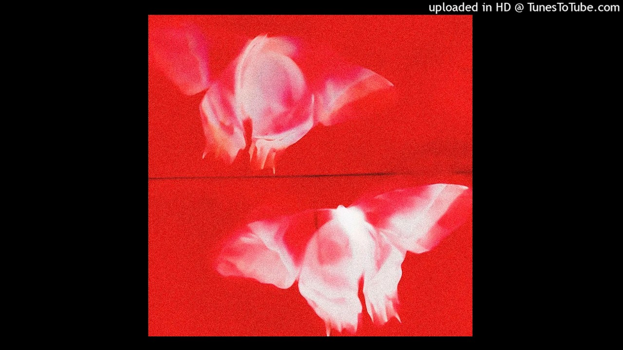 [free for profit] skaiwater + ambient type beat 