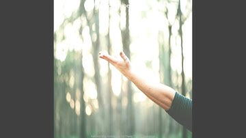 Sublime Backdrops for Tranquility