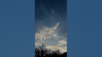 و أنيبوا إلى ربّكم و أسلموا له | المنشاوي | سورة الزمر |
