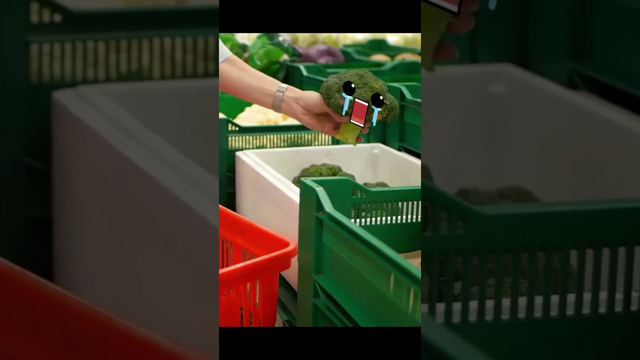 Bro Falls OPENING TRAILER | Fun Animation | Free Steam Game