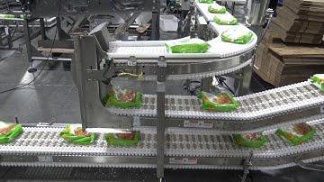 55473 BluePrint Automation (BPA) Gantry 300 Swing Case Packer