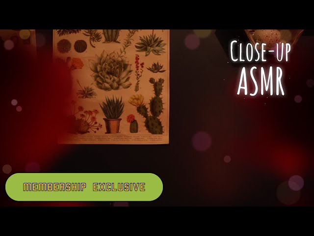 ASMR Up-Close & Extra Soft Whispering