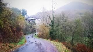 🐻🐺🐦🐗🌳🌰Biodiversidad na reserva natural fluvial do Lor _Ferrería de Seoane _O Courel