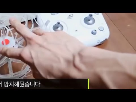 [NCT제노] 제노 Fox적 팔 핏줄