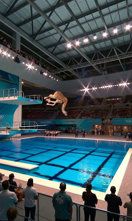 AI giraffe’s acrobatic dive #hailuoai