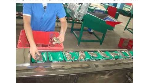 Weight Sorting Machine For Fruits Vegetables