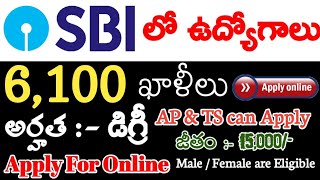 SBI Apprenticeship jobs in Telugu 2021 | Qualifications | Vacancy | Bank Jobs 2021 | AndhraTV | jobs