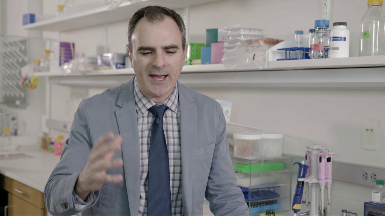 2019 O'Donnell Award in Medicine: Ralph DeBerardinis, Children's Medical Research Institute at UTSW