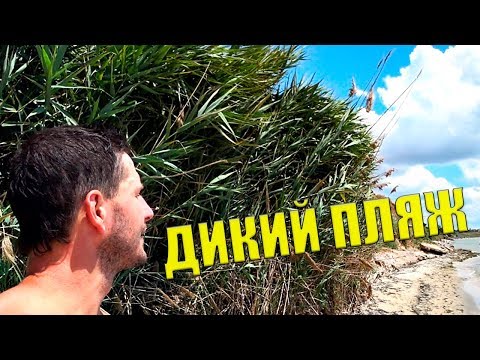 Где найти дикий пляж Бердянска?  Азовское море