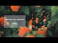 opposite reaction - pale