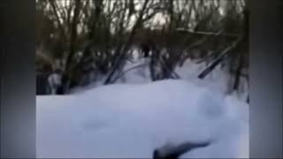 Schoolchildren filmed Bigfoot in the forest