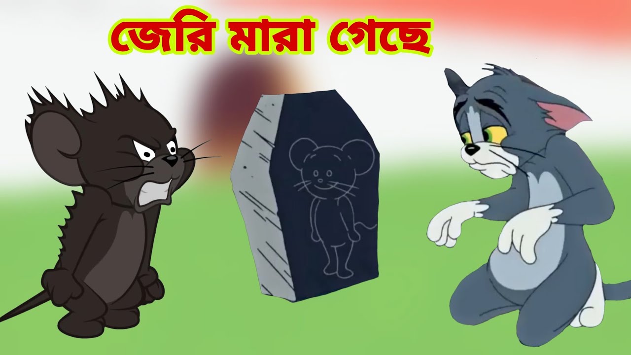 Tom and Jerry | Tom and Jerry Bangla | cartoon | Tom and Jerry cartoon | Bangla Tom and Jerry