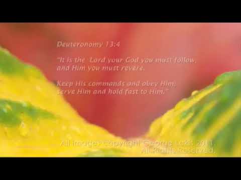 Deuteronomy of Praise