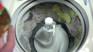 Checking out A MINT Filter-Flo HOTPOINT Washer (Part 1)