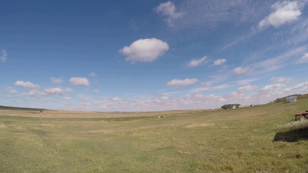 Billie's 2017 Turlach