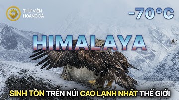HIMALAYA HOANG DÃ | Cuộc Chiến Sinh Tồn Nơi Cao, Lạnh Nhất Hành Tinh #thegioidongvat
