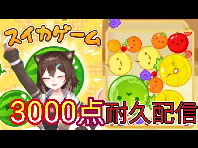 【耐久】スイカゲーム３０００点取れるまで終われない配信　【にじさんじ】のサムネイル