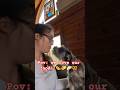 Serious discussion with my dog #viral #comedy #cute #dogmom #minischnauzer #featured #fypシ゚viral