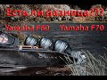 Yamaha F60 или Yamaha F70. Тест в боевых условиях. Отличительные особенности. Viking 4.6F