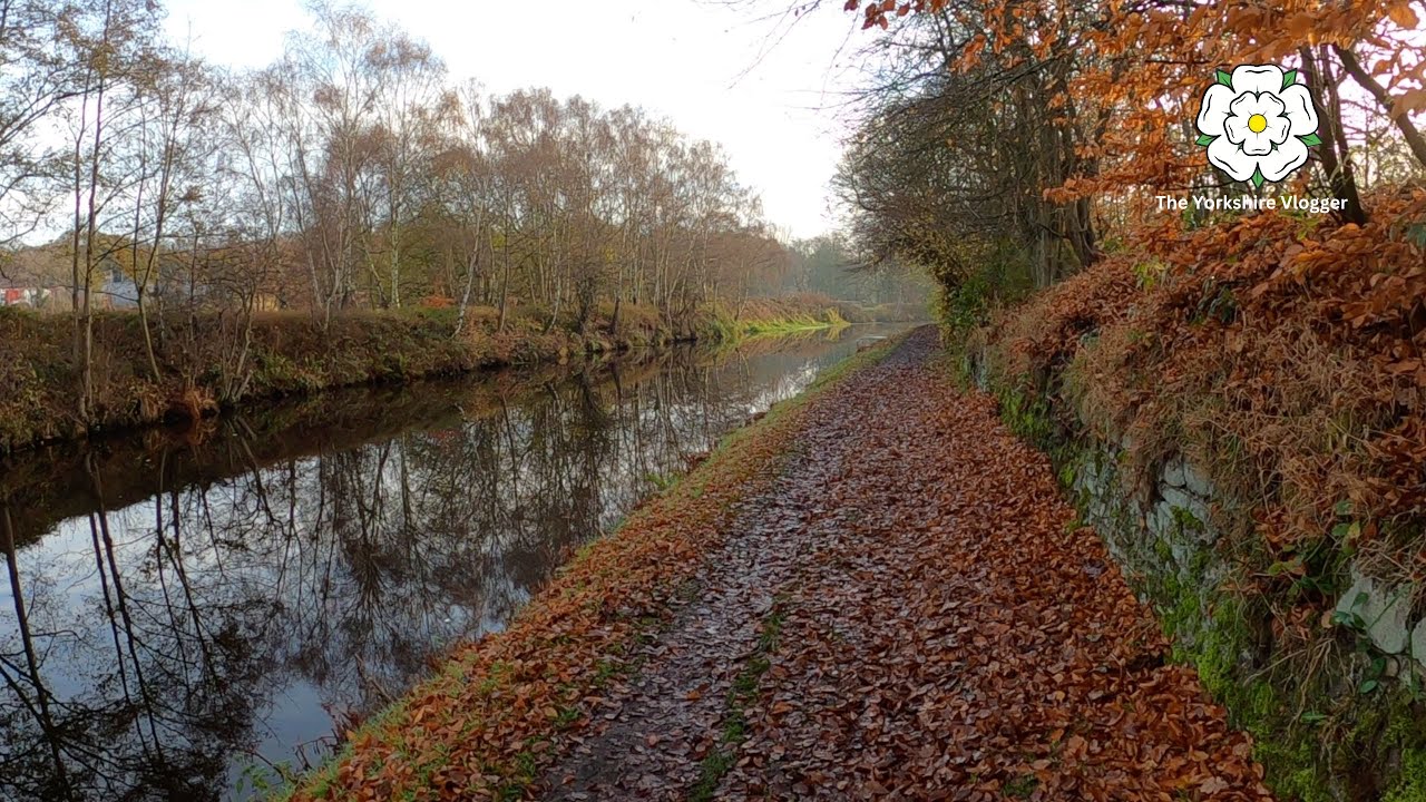MIRFIELD | Canal & River Walk with Music (Vlog #37)