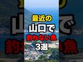 最近の山口で釣れていない魚3選#釣り #shorts