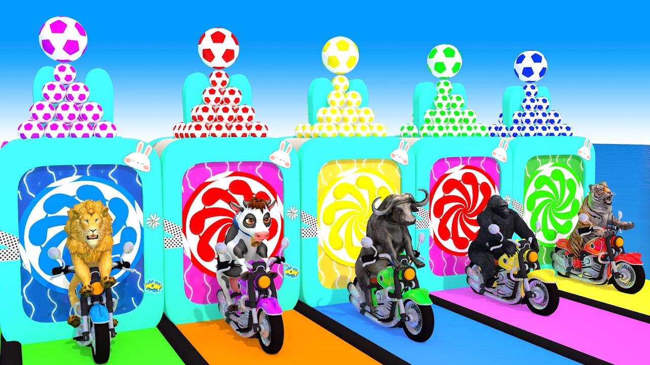 Long Slide Game With Elephant Gorilla Buffalo Hippopotamus Tiger - 3d Animal Game - Funny 3d Animals