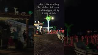 Christmas Lights on a Farm in Nokomis, Florida #SuncoastMatt