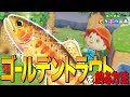 【あつ森】初心者必見！奇跡の純血種「ゴールデントラウト」を釣る方法【あつまれ どうぶつの森】