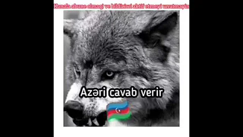 Azerbaijan vs Armani