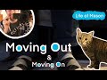 Moving Out of my Parents House