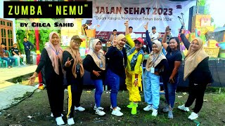 NEMU DJ REMIX / GILGA SAHID (Zumba Kreasi)