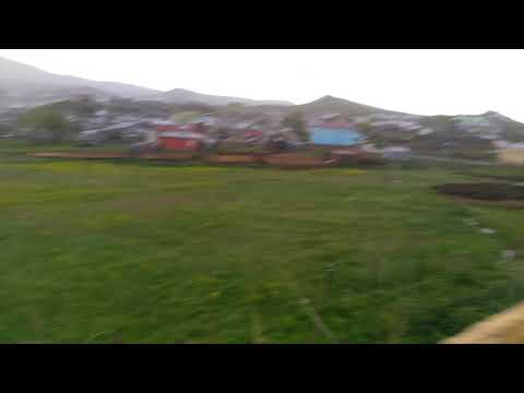 Erzurum Tekman Düzyurt