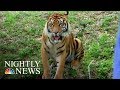 New video by NBC News on YouTube