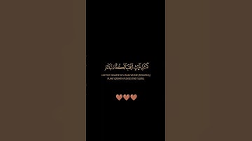 سورة الحديد / القارئ الشيخ أحمد النفيس / تلاوة خاشعة ومؤثرة