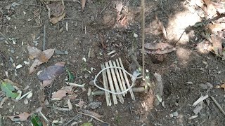 Primitive Bird Trap