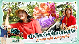 ทริปจัดเต็มเข้าสวนผลไม้ อ.หนองเสือ จ.ปทุมธานี | ชื่นใจไทยแลนด์ EP.10