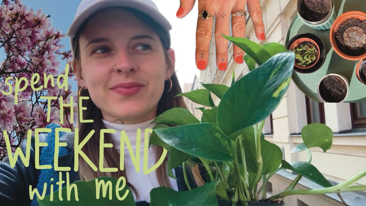 Ein Wochenende im Frühling VLOG