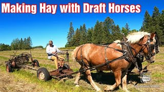 Making Hay with Draft Horses/Tedding Hay and Raking Hay with Draft Horses/Square Baling 2022