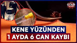 Kene Bir Can Daha Aldı, Ölü Sayısı 6Ya Yükseldi Star Ana Haber