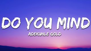 Adekunle Gold - Do You Mind? (Lyrics)