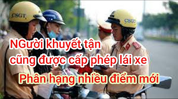 cấp giấy phép lái xe cho người khuyết tật