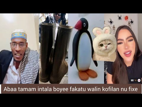 OroFunny Abaa Tamam Intal Boyye Fakatu Walin Kofilan Nu Fixe
