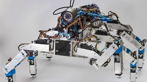 INSECT ROBOT 🤖🤖🤖🤖#science #physics #education #experiment #robot #robotics #technology #diy