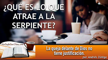 ¿Qué atrae a las serpientes?